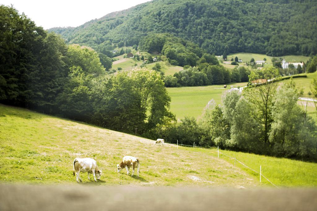 Tourist Farm Mraz Villa Podčetrtek Eksteriør billede